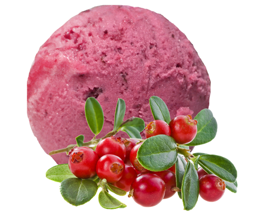 Десерт замороженный фруктовый Северная ягода сорбет клюква-брусника лоток