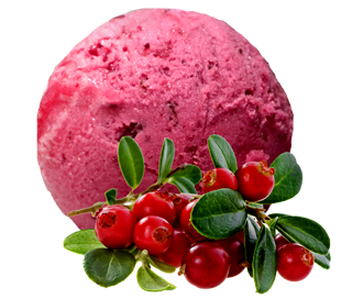 Десерт замороженный фруктовый Северная ягода сорбет клюква-брусника лоток